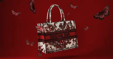 dior valentines day bag